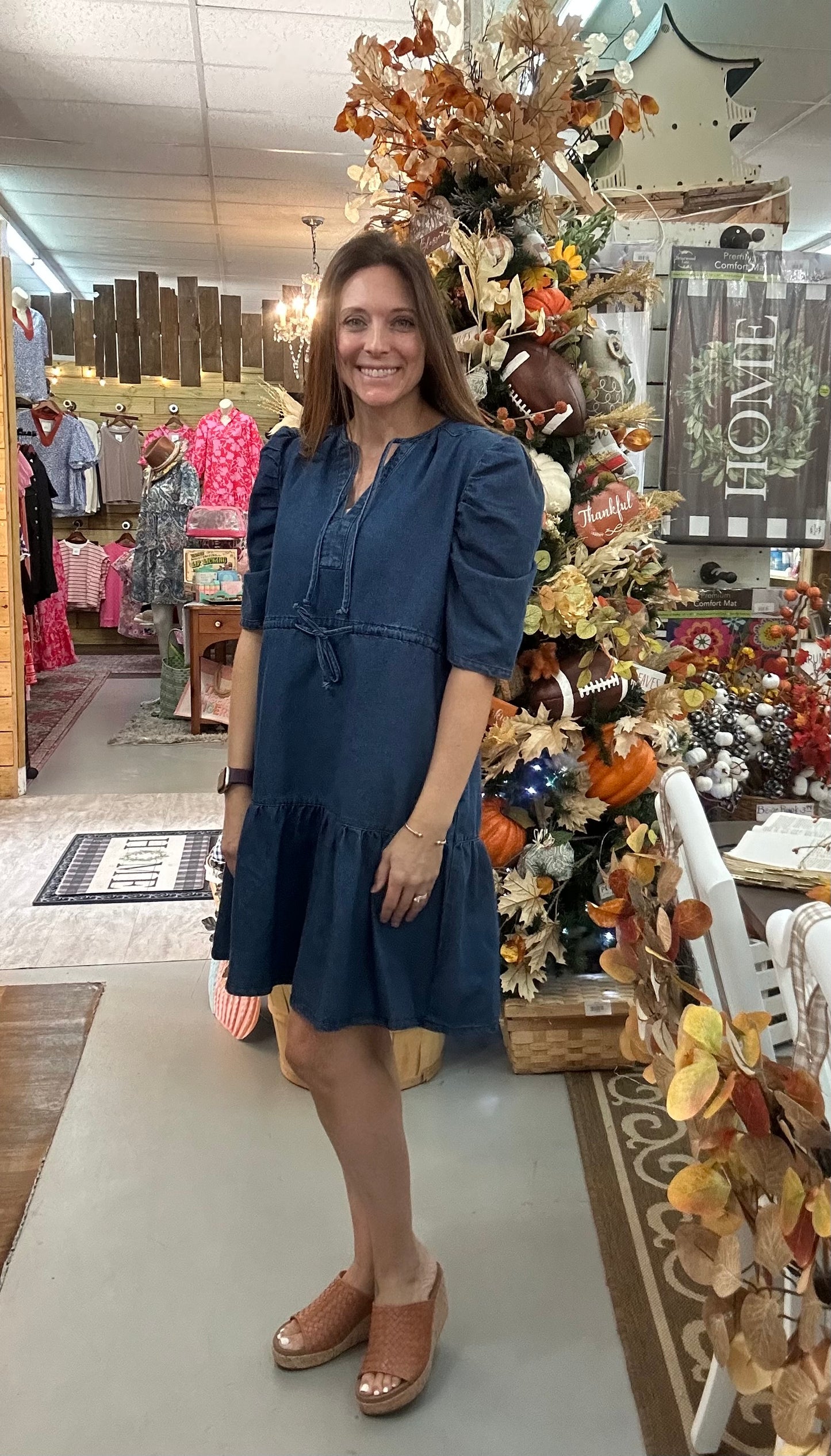 Reyna denim dress- PP