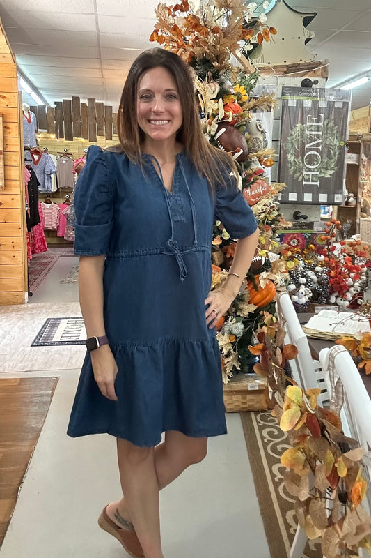 Reyna denim dress- PP