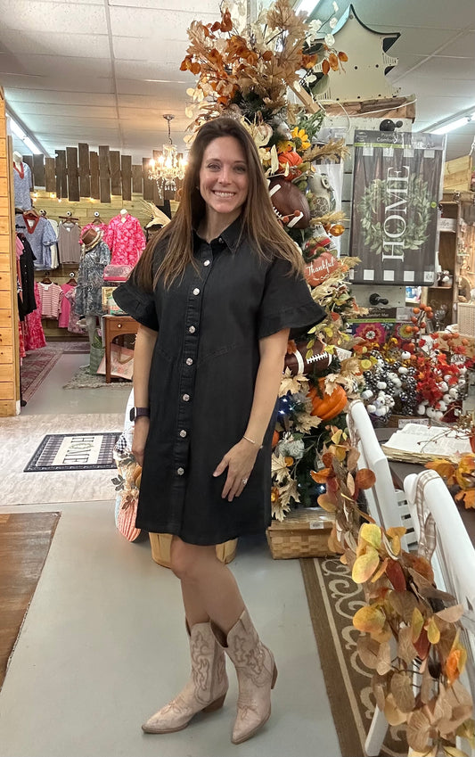 Reba denim dress- PP
