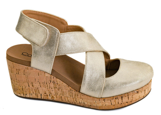 001/CASE CLOSED GOLD