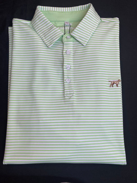 001/THE MARSHALL POLO LIME